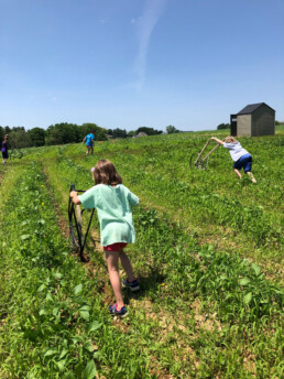 Lancaster Farming School