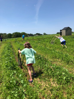 Lancaster Farming School